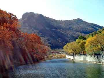 管家婆免费正版资起大全，水牛养殖基地